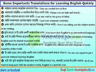 Some Important Translations for Learning English Quickly