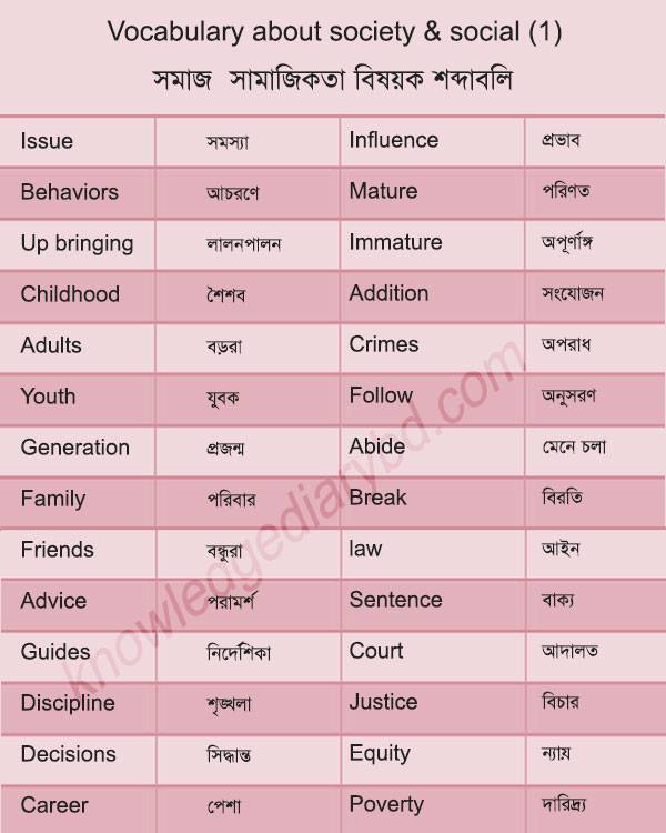 vocabulary about society and social