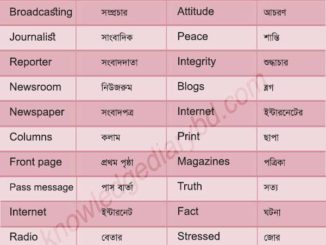 Vocabulary About Media