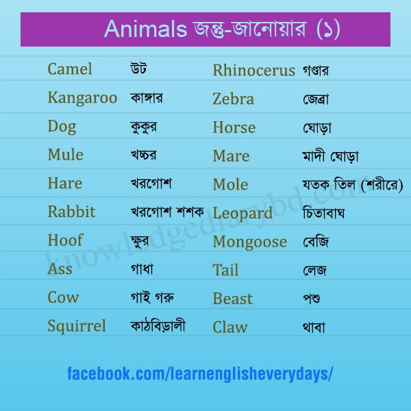 Vocabulary About Animals