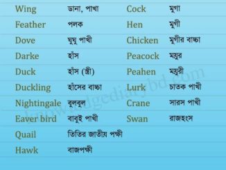 পক্ষী- Birds part (২)