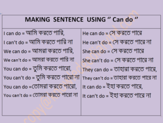 Making sentence using can do