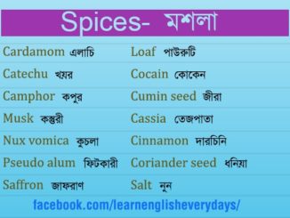 Vocabulary About Spices